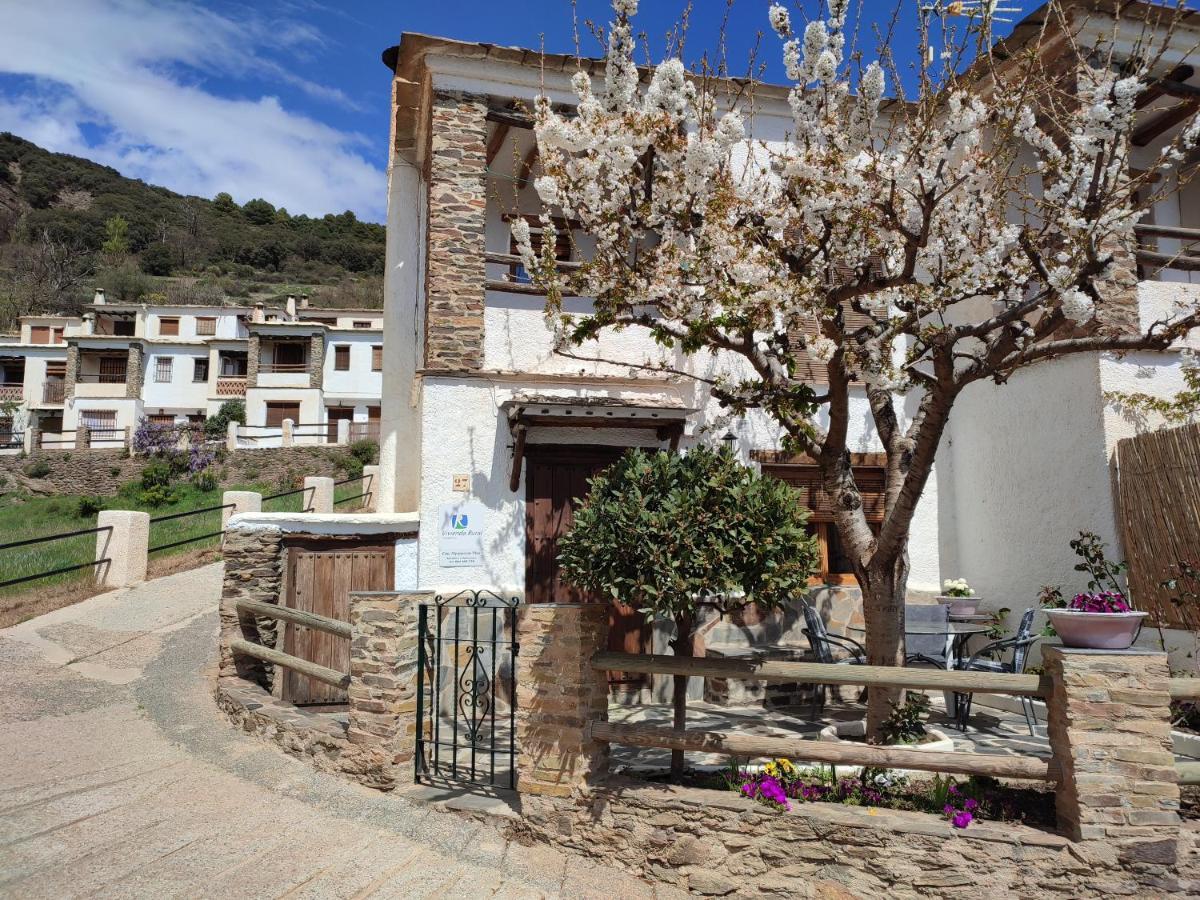 Casa Alpujarrena Fina Numero 27 Bubión Eksteriør billede