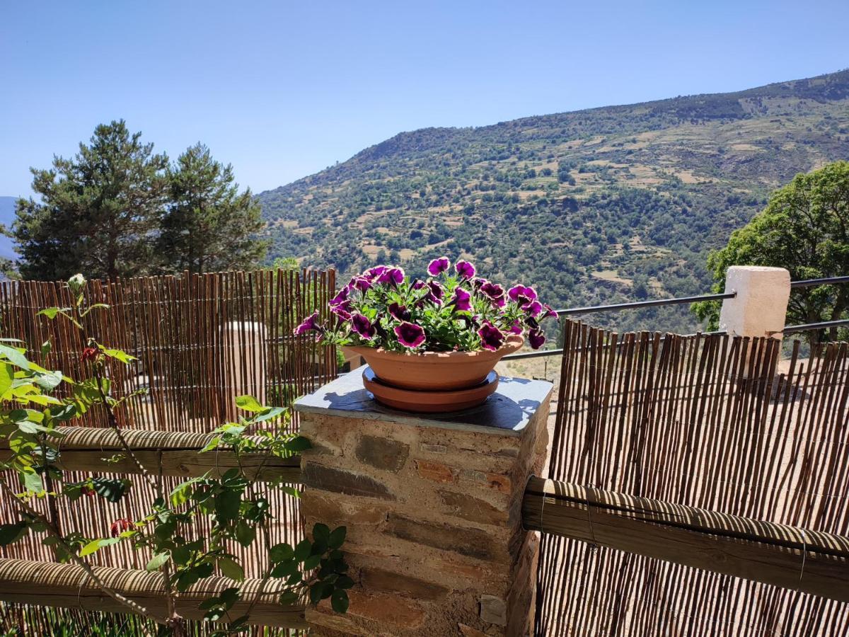 Casa Alpujarrena Fina Numero 27 Bubión Eksteriør billede