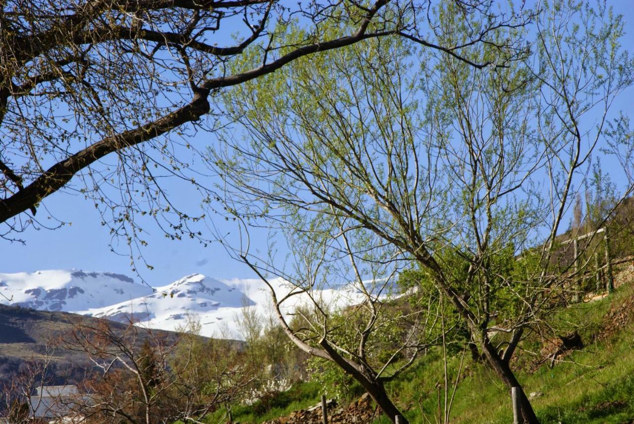 Casa Alpujarrena Fina Numero 27 Bubión Eksteriør billede